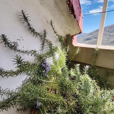 La Casa Colorata Con Vista Daire *
