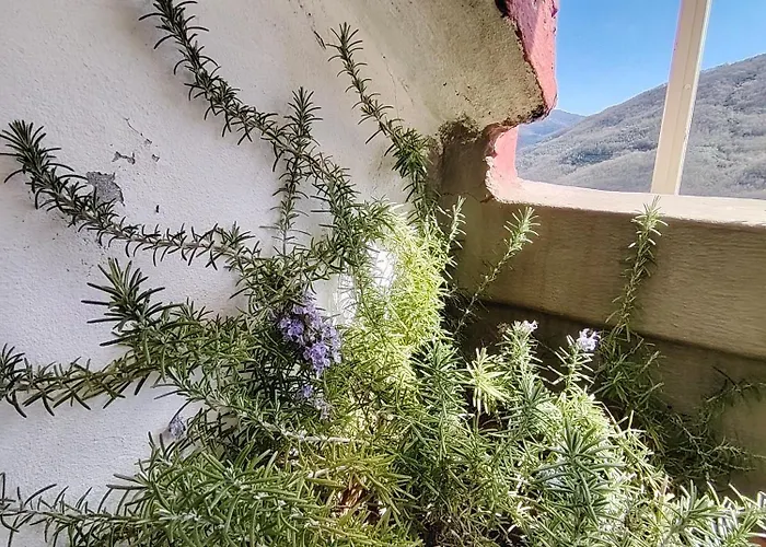 La Casa Colorata Con Vista شقة *